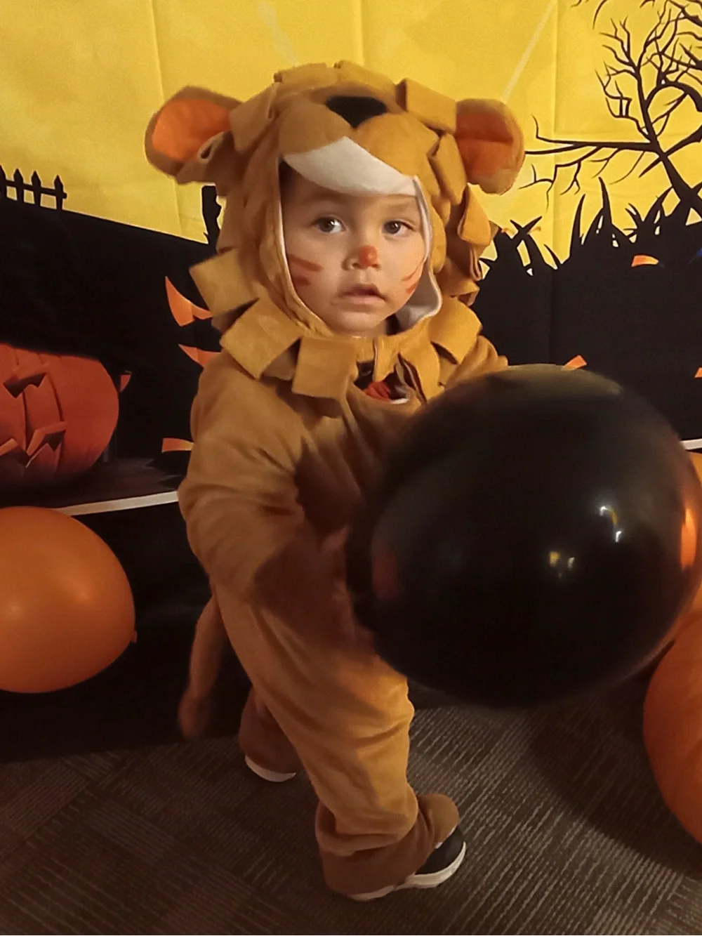 Lion Costume 🦁